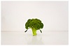 Fresh Vegetables