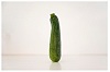 Fresh Vegetables
